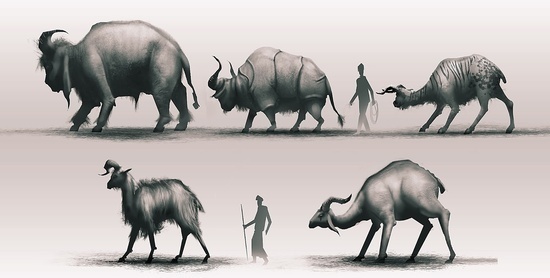 Desert Critters - Joseph Sanabria #fantasy #illustration #creatures #magic #monster #critters #character #desert
