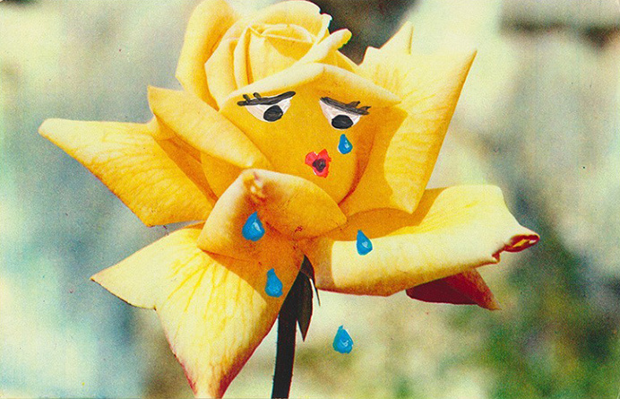 Angela_deane_flora_int_15