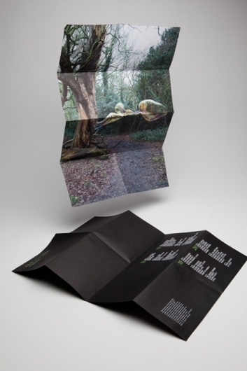 plusyes — projects #bubble #print #forrest