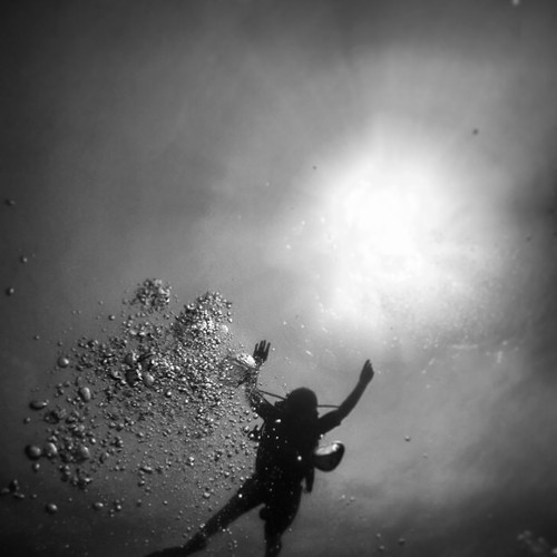 www.kayleighryleydesign.com goes scuba diving in Belize with a new GoPro #sun #gopro #bubbles #design #dive #scube #floating #photography #swimming #underwater