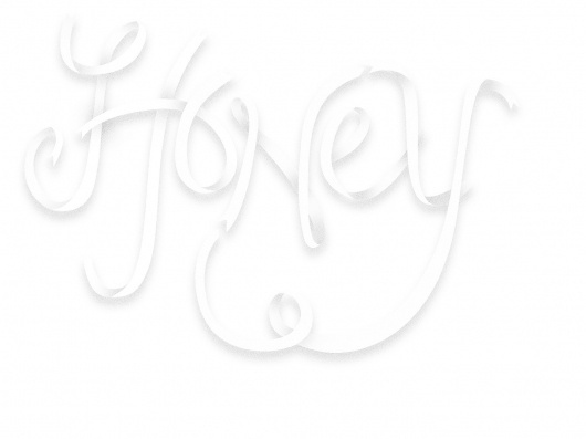 Honey2011_ribbon.jpg (1432×1074) #script #honey #typography