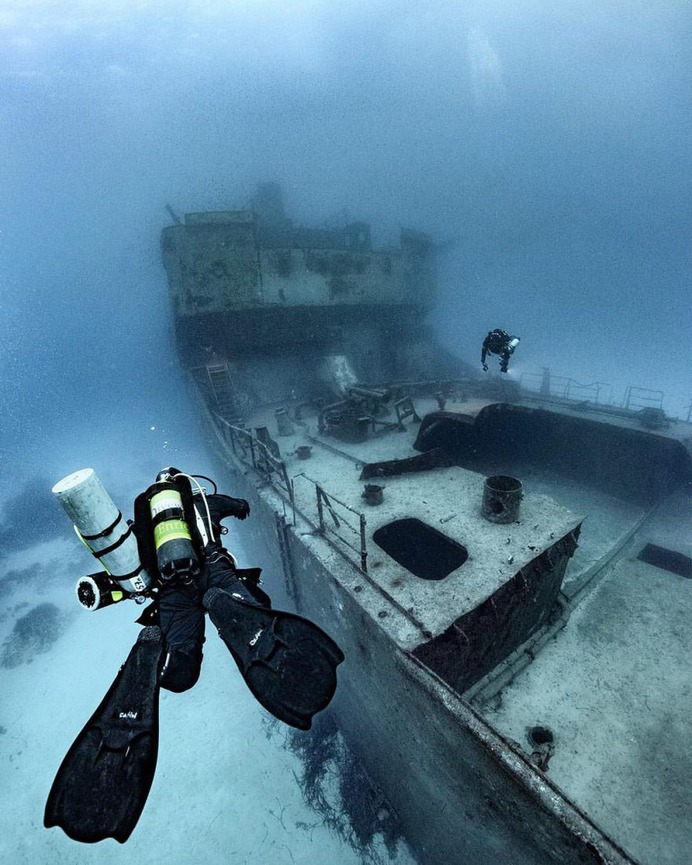 Spectacular Underwater Photography by Alex Dawson