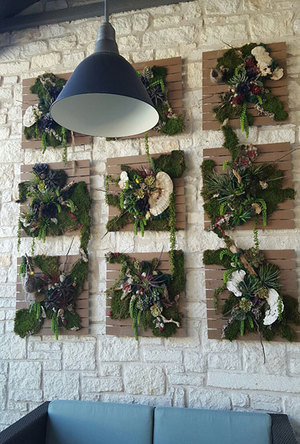 #plants #livingwall