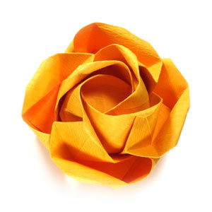How to make an origami beauteous rose (http://www.origami-flower.org/howto-origami-rose.php) #origami #rose #origamirose