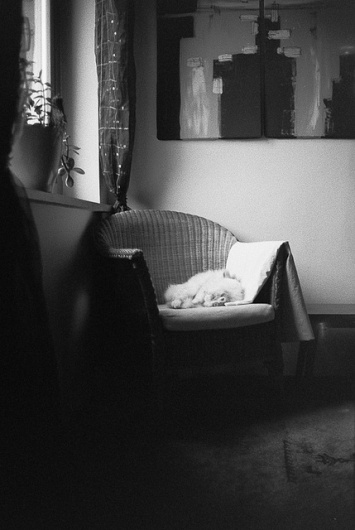 Untitled | Flickr - Photo Sharing! #white #meisinger #photograph #black #simon #and