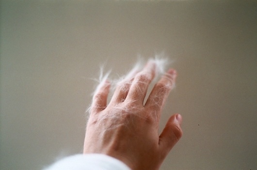 2009 : Debbie Carlos #photography #hand #fluff