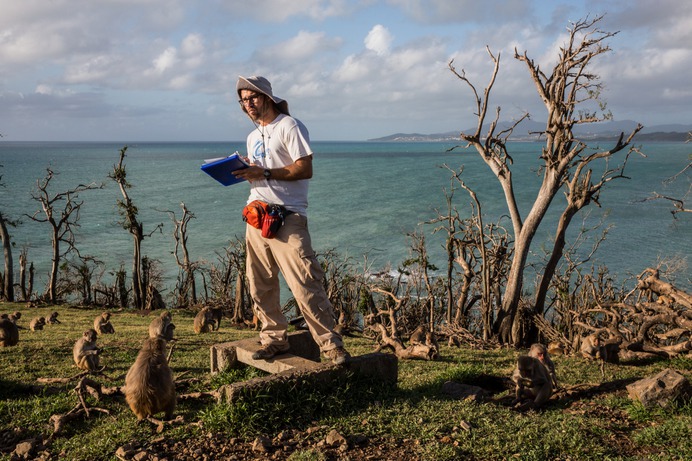 Primal Fear: Can Monkeys Help Unlock the Secrets of Trauma? - The New York Times