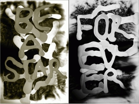 Main : Franca Moor #illustration #ink #typography
