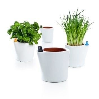 These terracotta flower pots are self watering, so you can keep your plants alive even while on short trips out of town. Porous water chambe #plants