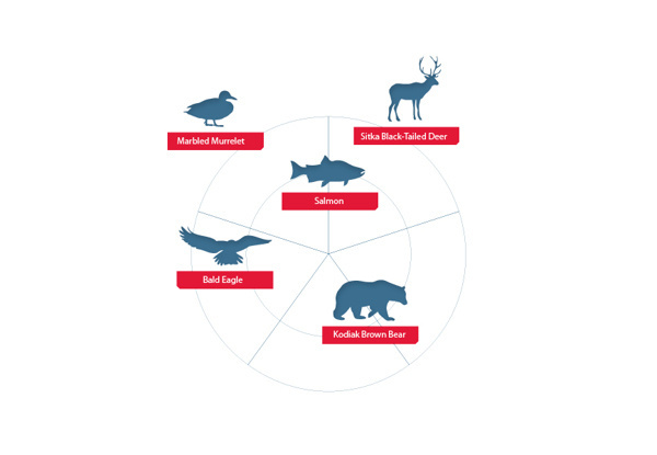 Camco Afognak Island brochure on Behance #charts #infographics #print #design #infographic #graphic #map #info #graphics #brochure