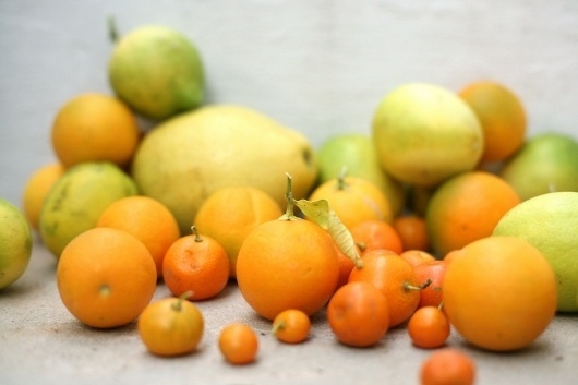 An Apple a Day #food