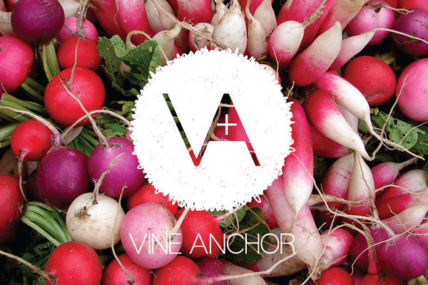 VINE ANCHOR Handball Friendly #logo #identity #branding