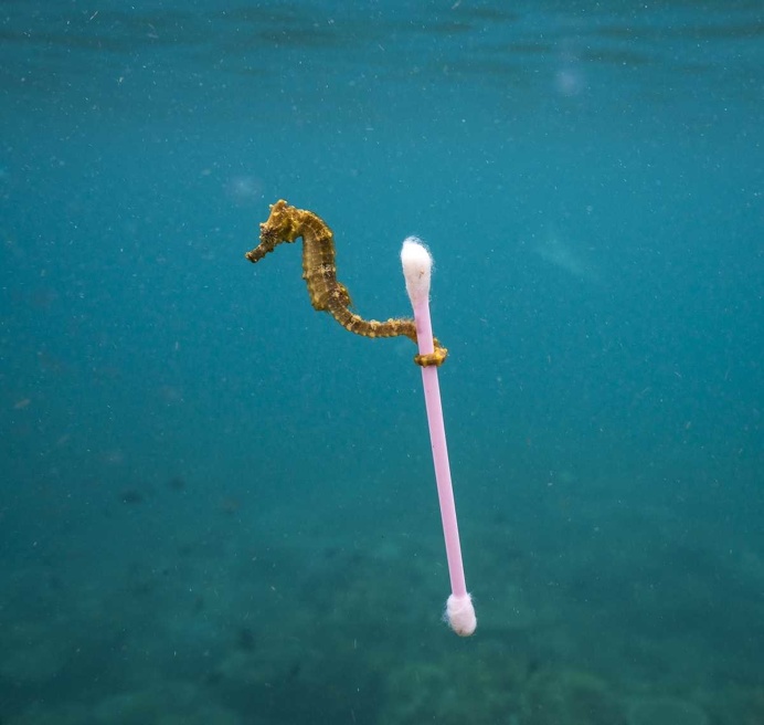 Sewage surfer by Justin Hofman