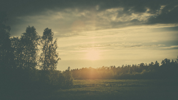 GO 70° NORTH #sun #warm #photography #nature #vintage #dreamy #trees