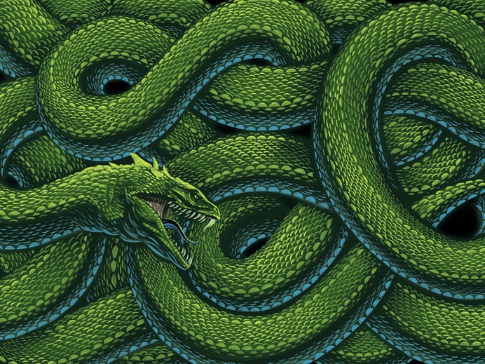 Bottle Logic Serpentine Illustration craft beer illustration