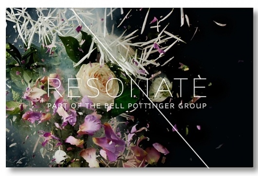 Creative Review - Someone's explosive identity for Resonate #logo #colour #branding #flowers