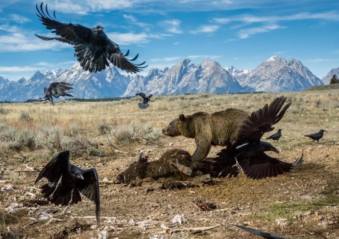 National Geographic Unveils Its 50 Most Beautiful Travel Photos Of 2016's