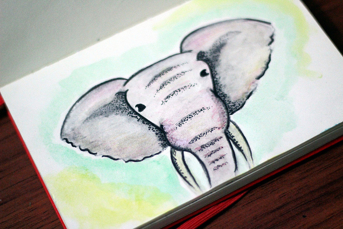 photo #watercolor #elephant