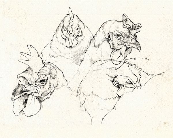 Matt Duquette art