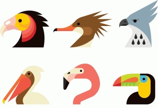 Audubon Beaks Always With Honor #always #icons #birds #honor #with