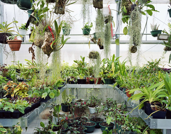 'Workspaces', an exploration into the places we make by Meggan Gould #interior #plants #workspace