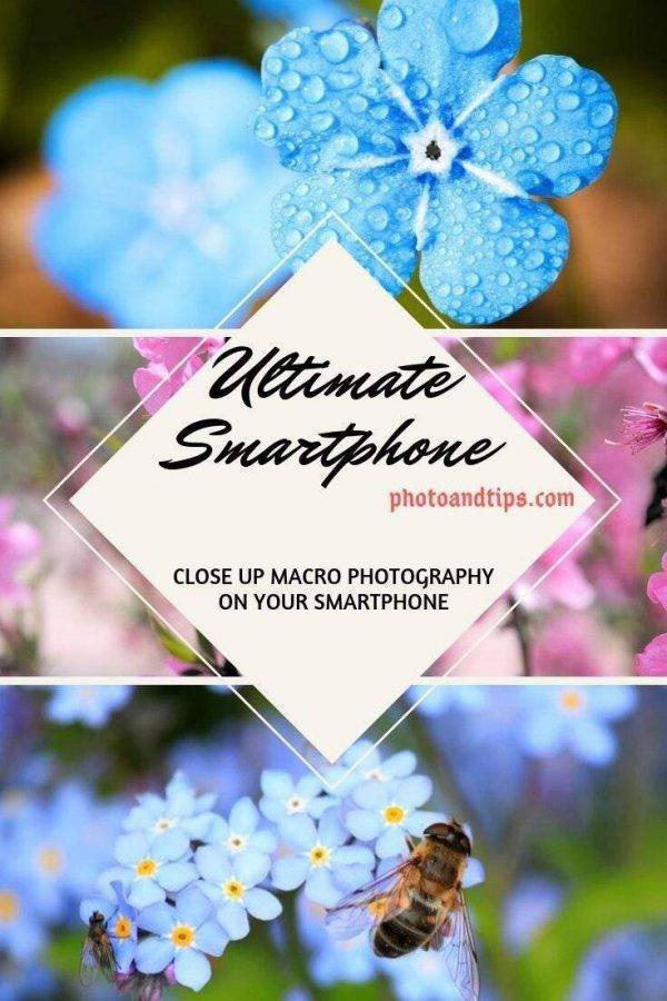 If you are interested to learn the best tips and tactics to deal with the Macro and Close-Up shots, this eBook can guide you better. @photoandtips #photoandtips #smartphonecloseup #iphonemacro #smartphonemacro #smartphonetips #iphonetips #mobiletips #smartphonephotography #iphonephotography #smartphonecamera #smartphonephotographytips #iphonephotographytips #smartphonephoto #iphonephoto #photographytips #photography