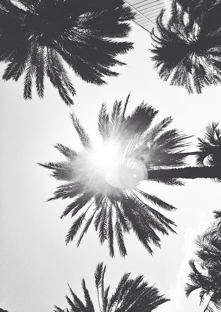 KYLIE JENNER #trees