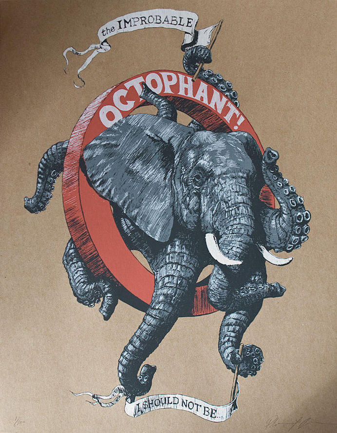 The octophant