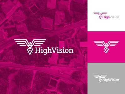 Highvision Logo Design 🦅 bird clean graphic design flat illustrator logodesign identity mark vector logo concept branding brand identity brand