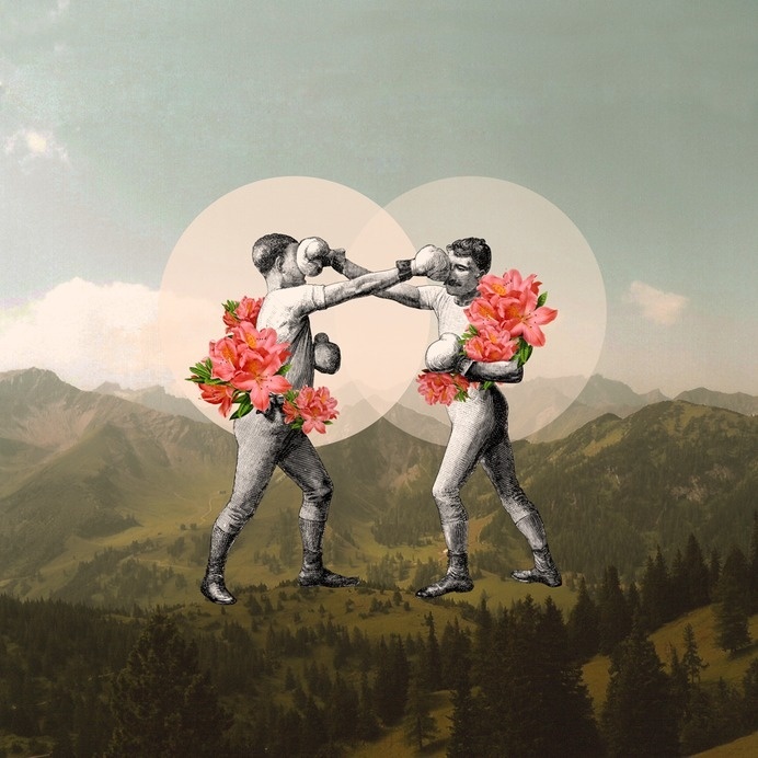 Foes before hoes. #collage #abstract #vintage #illustration #humor