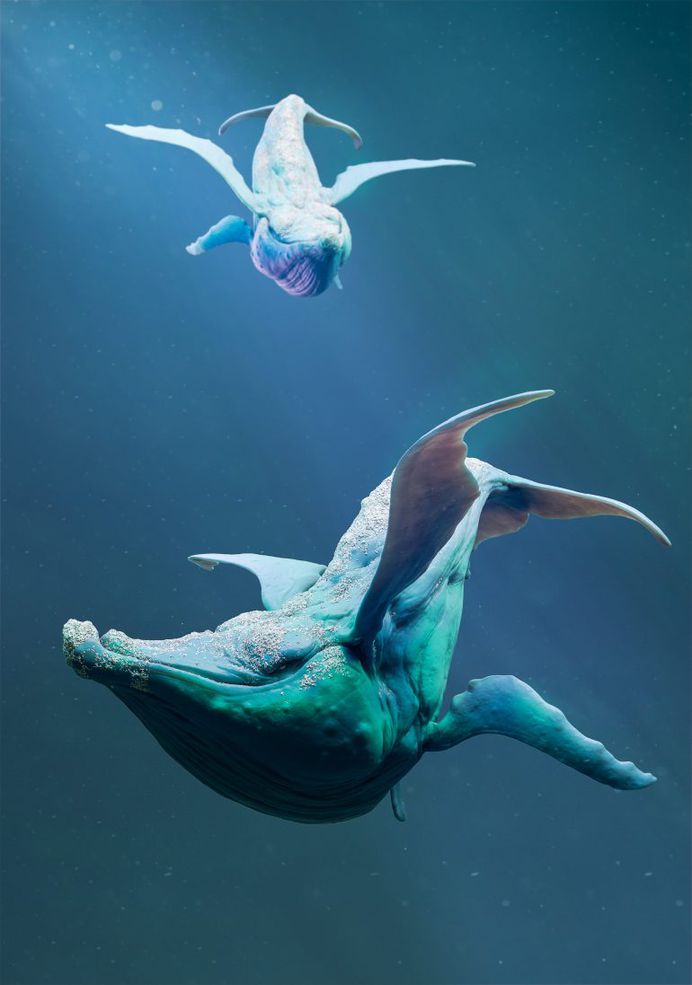 Whale Whale Whale, Mickael Lelièvre