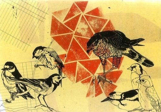 Adrian Dutt | Illustrator #dutt #birds #illustration #adrian