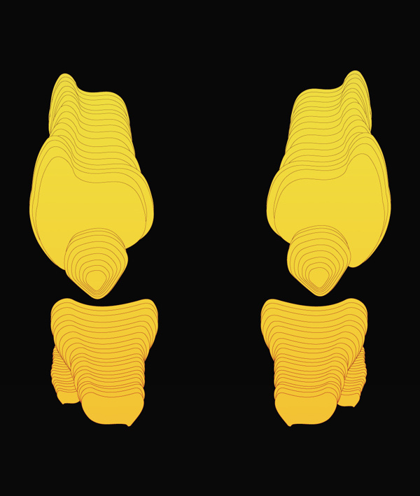 Bones / Print Illustration #yellow #design #illustration #skull #bones