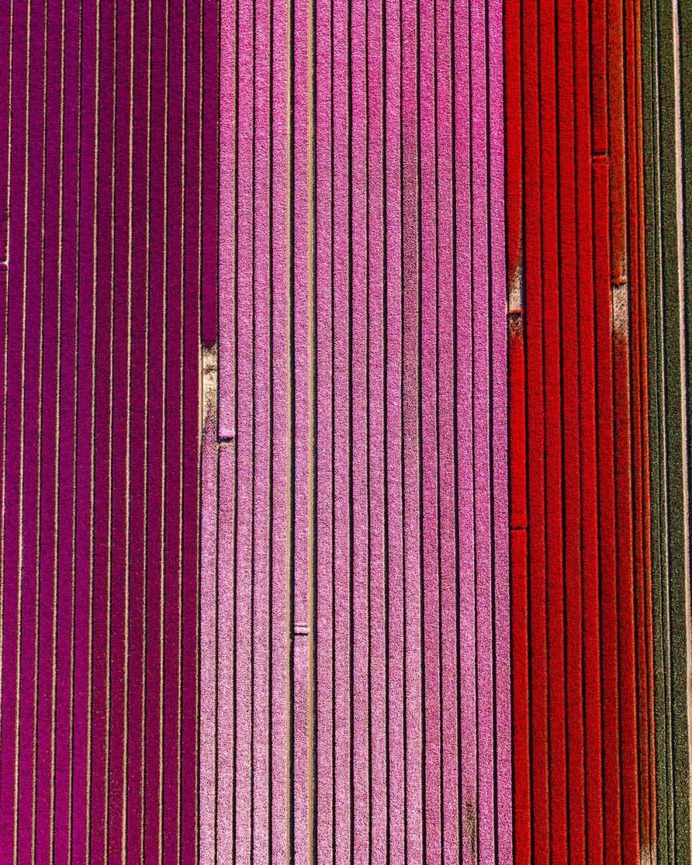 The Netherlands From Above: Drone Photography by Erik Krugers