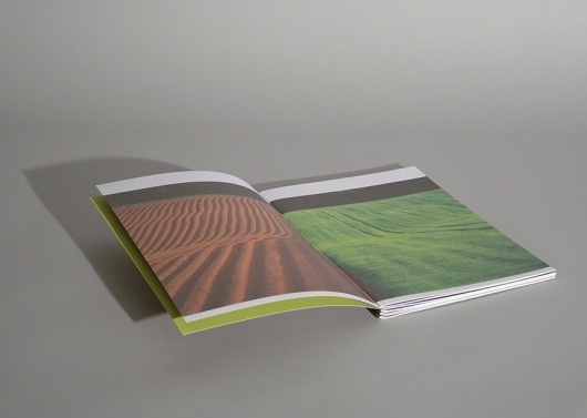 Newton Steading #print