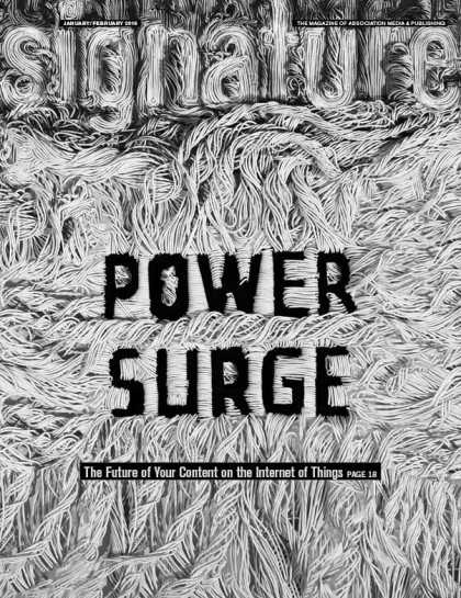 The cover for the Jan/Feb 2016 issue of Signature #magazine uses a #sculptural nameplate from wire - Senior Designer, Emily Biondo