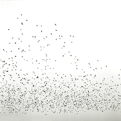 texturism:untitled byÂ leo tage hansenÂ | viaÂ medformat #pattern