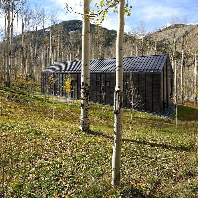 Cottage Black Provides a Retreat Within a Dense Aspen Grove