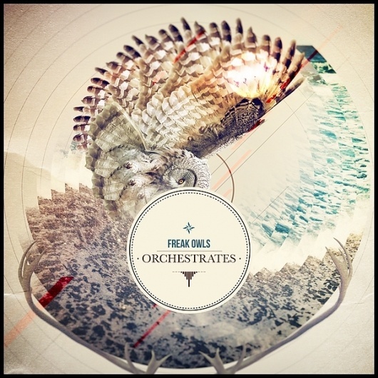 Graphic design on the Behance Network #ocean #owl #sepia #design #graphic #brown #horns #circle #freak