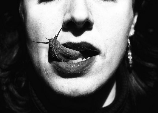 The eaters | Flickr - Photo Sharing! #white #and #black #photography #slug