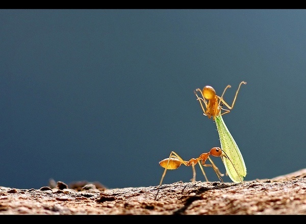 Photography by Ram Reddy #photography