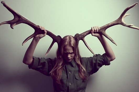 Matías Troncoso #deer #troncoso #matas #photography #horns