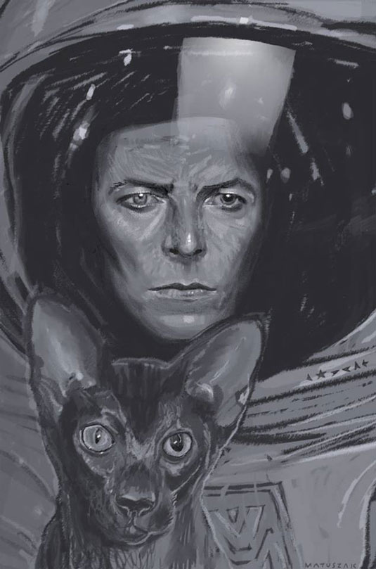Bowie - Illustration - Dagmara Matuszak