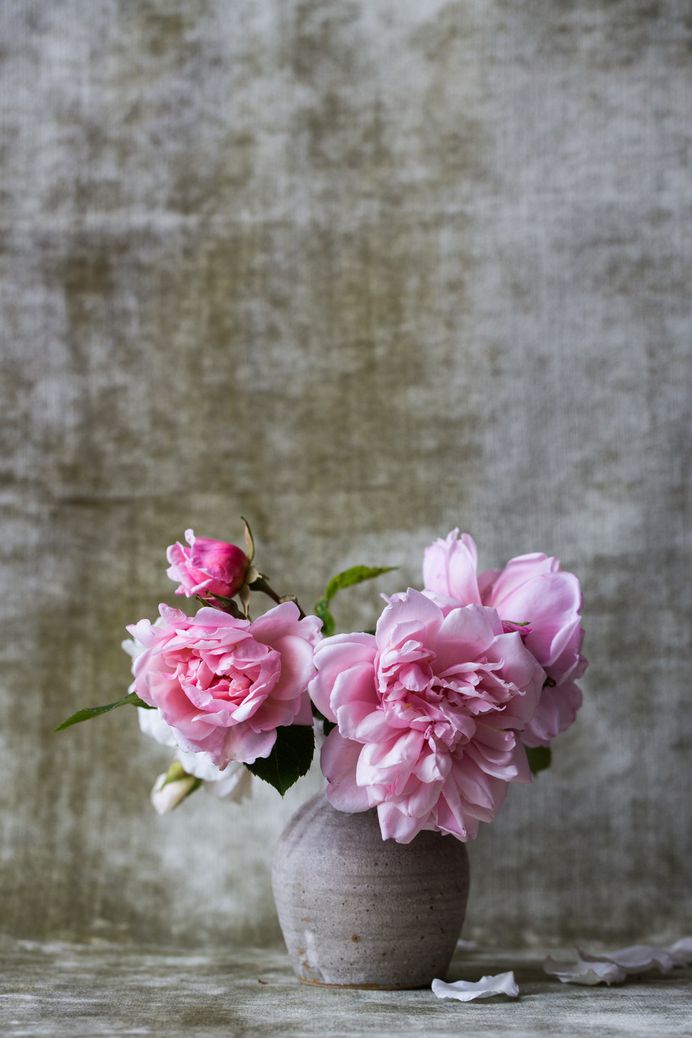 Mini pink flower bouquet in gray vase with textured wall background in Spring