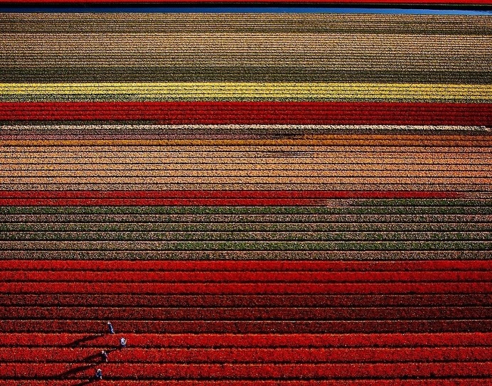 Beautiful Instagram Snapshots by Cris Toala Olivares