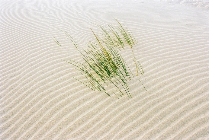Photographer Spotlight: Raúl Pérez – BOOOOOOOM! – CREATE * INSPIRE * COMMUNITY * ART * DESIGN * MUSIC * FILM * PHOTO * PROJECTS