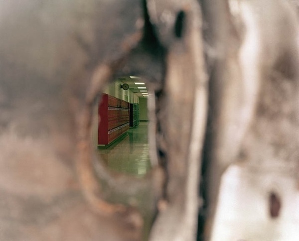 Ron Jude #inspiration #photography