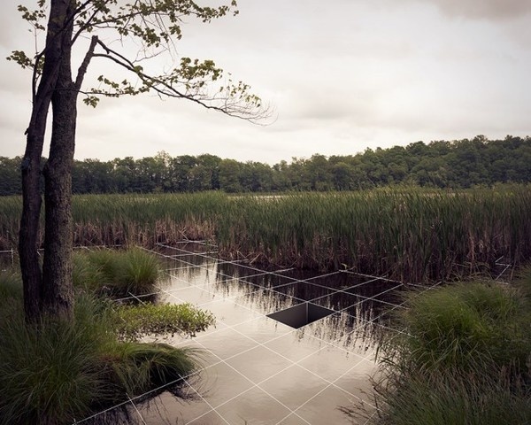 http://www.fubiz.net/wp content/uploads/2012/09/Nature Scientific Interpretation8 640x512.jpg #design #photography #3d
