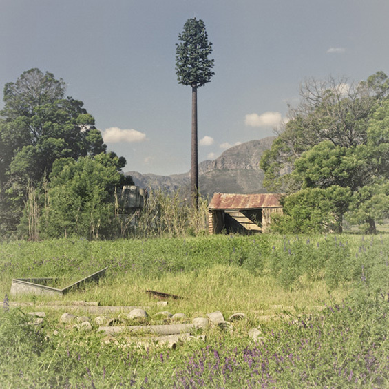 Cell phone towers disguised as trees by South African artist Dillon Marsh #tree #tower #art