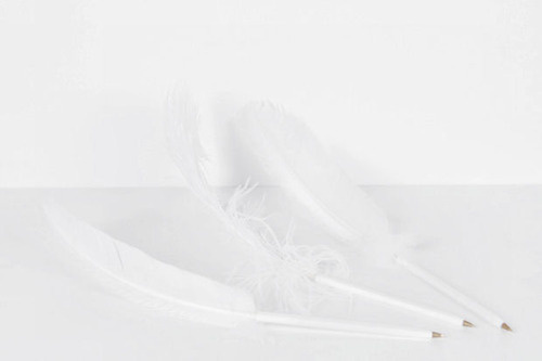 feathers #white #gold #feathers